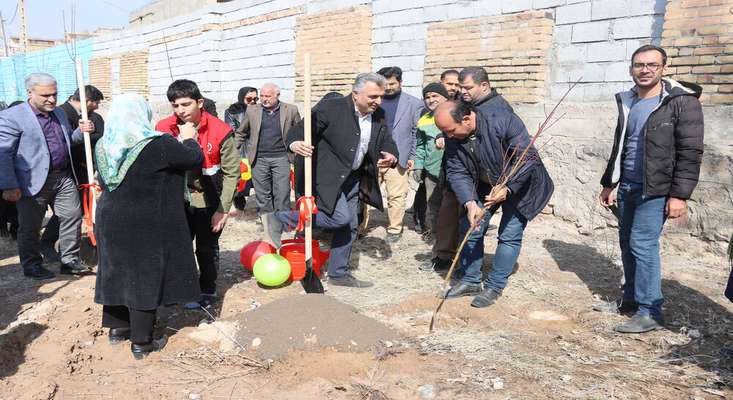 تملک باغات داخل شهر و انبوه کاری گسترده، برنامه سال آینده مدیریت شهری در حوزه فضای سبز