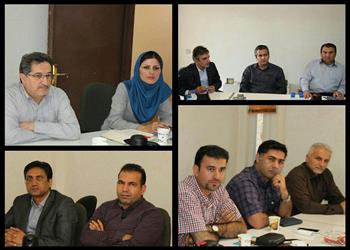 اجرای طرح خانه های هوشمند و رواج استفاده از پنل های خورشیدی در کشور