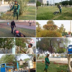 از هرس و فرم دهی درختان سطح شهر تا چمن زنی فضاهای سبز