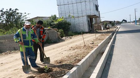 درختکاری وترمیم فضای سبزبلوارآزادگان