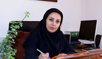 طرح «محور گردشگری شهر کرمان» در دست بررسی است