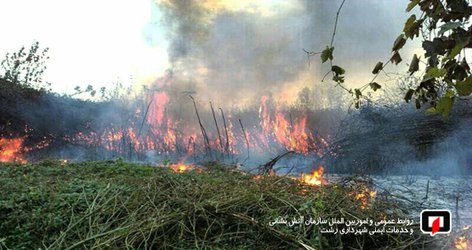 تلاش آتش نشانان شهر باران در ۲۴ ساعت گذشته در۳۸  عملیات /آتش نشانی رشت